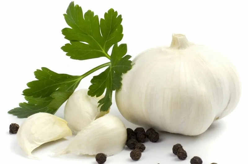 قیمت خرید سیر سفید گلخانه ای + تست کیفیت