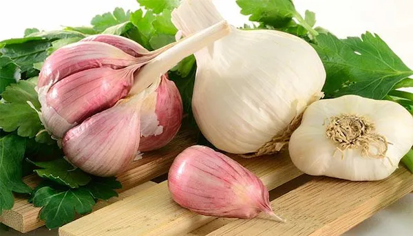 بهترین سیر سفید خشک + قیمت خرید عالی