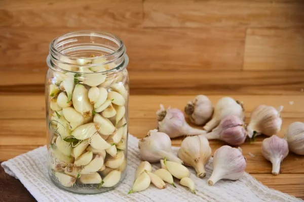 بهترین سیر سفید شیشه ای + قیمت خرید عالی