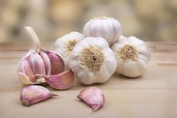 بهترین سیر سفید عطر دار + قیمت خرید عالی
